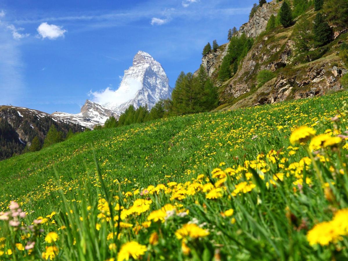 Apartment Breithorn By Interhome Zermatt Exterior photo